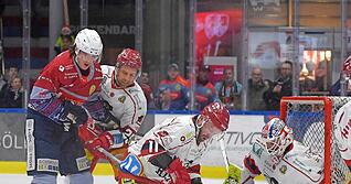 Auf dem Eis haben die Falken-Spieler bisher ihren Job erledigt.