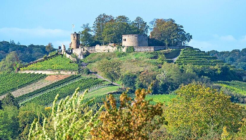 Die Burgruine Weibertreu ist Namensgeber des bisherigen wie des künftigen Festes. Bei der Neuauflage soll sie ins Geschehen eingebunden werden.