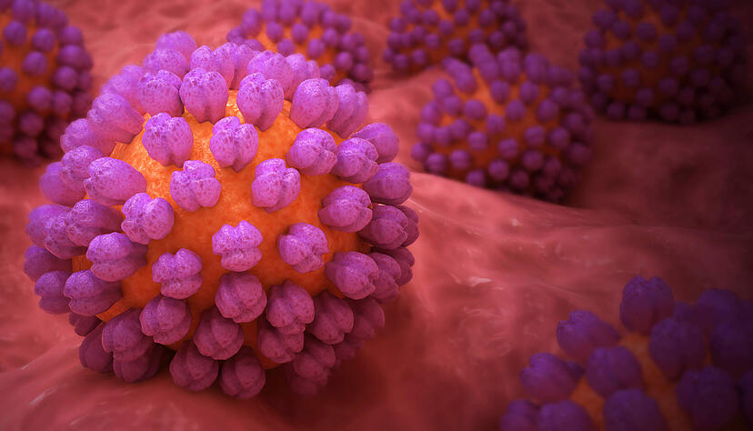 Neben Noroviren (das Bild zeigt ein Illustration des Virus) können auch noch viele weitere Erreger eine Magen-Darm-Infektion auslösen - Salmonellen zum Beispiel. Neben Noroviren (das Bild zeigt ein Illustration des Virus) können auch noch viele weitere Erreger eine Magen-Darm-Infektion auslösen - Salmonellen zum Beispiel.