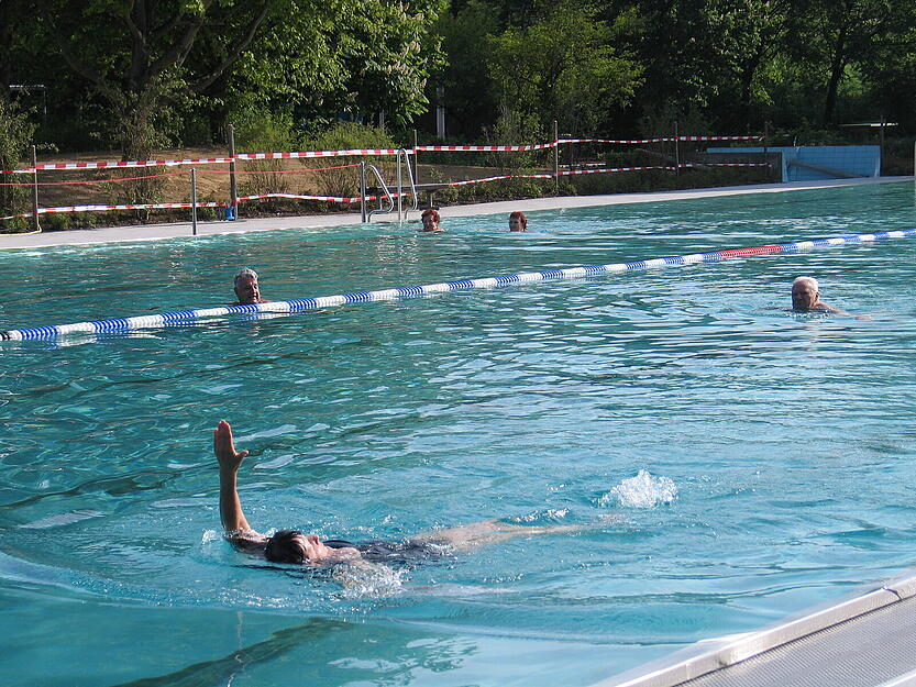 2005: Eiserne Frühschwimmer im Freibad von Obersulm-Affaltrach ziehen ihr morgendliches Fitnessprogramm durch.