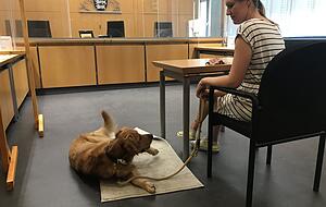 Lisa Huzel mit Watson. Foto: Jürgen Kümmerle