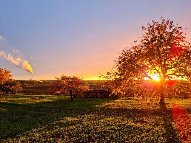 Auf seinem abendlichen Weg an den Ortsrand von Duttenberg, wo Hannes Haaf Ziegen hält, hat er diese sonnige Herbststimmung festgehalten. Von der Anhöhe zwischen Duttenberg und Gundelsheim sind am Horizont zwei Kamine von Südzucker zu sehen, wo Hannes Haaf arbeitet. Er schreibt uns: "Für viele Duttenberger ein Zeichen, dass es Herbst ist. Der Kamin dampft und ein leicht süßlicher Duft ist in der Luft ... ich liebe es." Danke für das Foto!