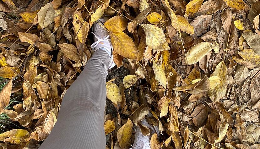 Was tun in den Herbstferien? Sechs Tipps für Daheimgebliebene. Was tun in den Herbstferien? Sechs Tipps für Daheimgebliebene.