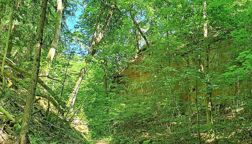Zwischen Bäumen und an Felsen vorbei führt der Weg durch den alten Schilfsandsteinbruch oberhalb des Heilbronner Jägerhauses. Zwischen Bäumen und an Felsen vorbei führt der Weg durch den alten Schilfsandsteinbruch oberhalb des Heilbronner Jägerhauses.