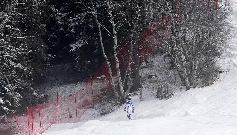 Nach seinem Slalom-Aus fl&uuml;chtete Atle Lie McGrath in den Wald.