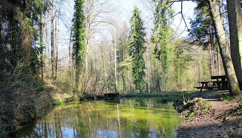 Ein sehr altes Biotop stellt der Vorfluter am Koppenbr&uuml;nnele auf Untergruppenbacher Gemarkung dar. Hier verweilen viele Waldspazierg&auml;nger, die auf den Sitzgruppen eine Pause einlegen k&ouml;nnen.