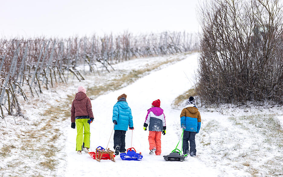 Dann hei&szlig;t es: Schlitten wieder nach oben ziehen.