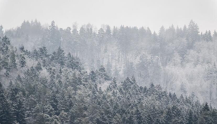 DWD-Vorhersage: Wo es in Baden-W&uuml;rttemberg schneien soll. (Archivbild)