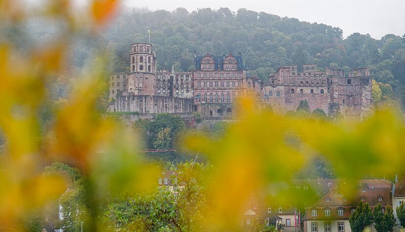 Nebel und Sonne zeichnen das Wetter in den nächsten Tagen. Nebel und Sonne zeichnen das Wetter in den nächsten Tagen.