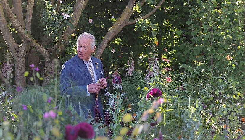 K&ouml;nig Charles st&uuml;tzte sich beim Rundgang auf einen Stock.