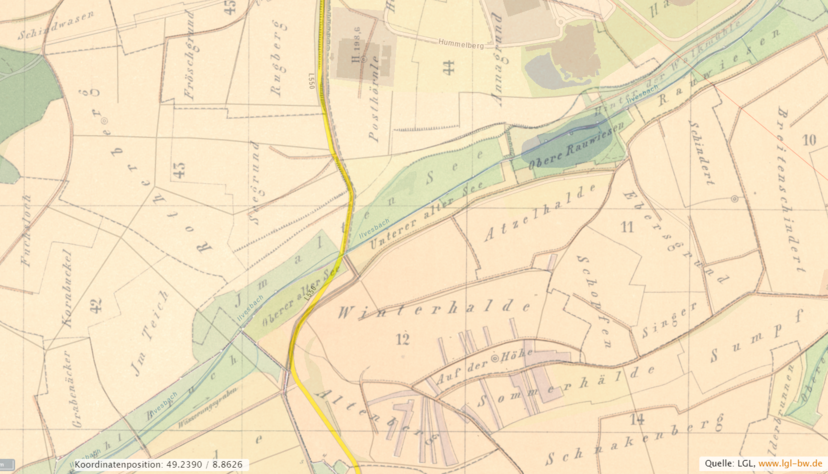 Auf alten Gemarkungskarten von 1855 ist das Gewann "Im alten See" bei Sinsheim mit zwei trockenlegten Weihern zu erkennen. Auf alten Gemarkungskarten von 1855 ist das Gewann "Im alten See" bei Sinsheim mit zwei trockenlegten Weihern zu erkennen.