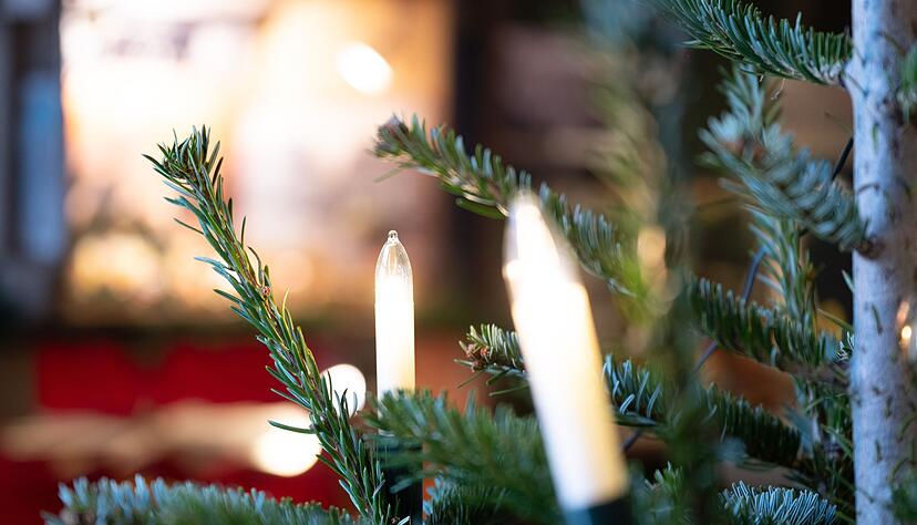 Die Weihnachtsbaum-Diebe werden von einem Sicherheitsmitarbeiter entdeckt. (Symbolbild) Die Weihnachtsbaum-Diebe werden von einem Sicherheitsmitarbeiter entdeckt. (Symbolbild)