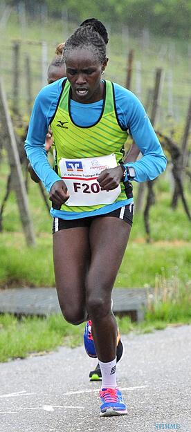 Trollinger Marathon: Marathon und Halbmarathon | 7.5.
