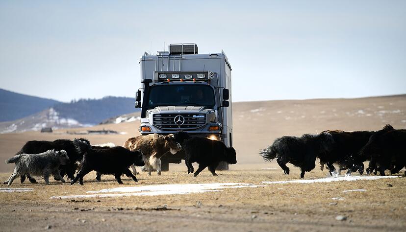Passanten passieren selten: Falls sie dem Zetros dann doch begegnen, kommen sie meist auf allen Vieren daher.