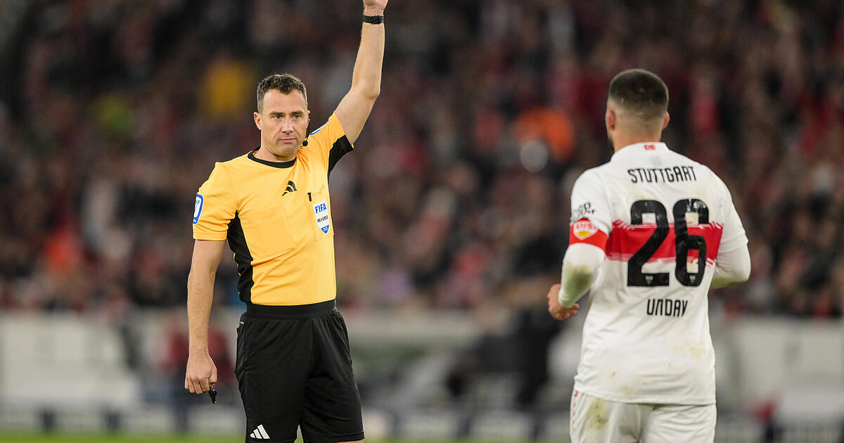 Fan frustration over referee in Leverkusen - | Zwayer to referee VfB ...