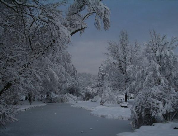 Winter im wertwiesenpark Winter im wertwiesenpark
