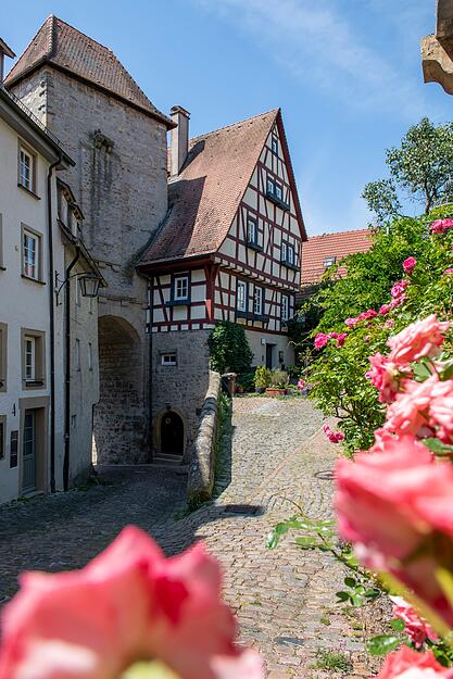 Bad Wimpfen ist Sieger des Travel-Book-Awards 2025, der die schönste Altstadt Deutschlands auszeichnet.