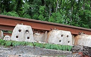 Die Deutsche Bahn musste das Gleisbett erneuern.Foto: Alexander Klug