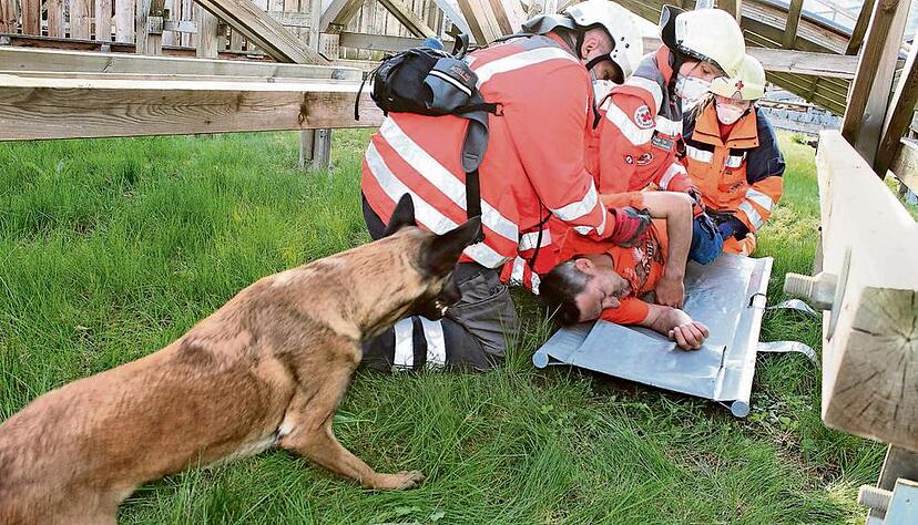 Die erste Gruppe der Tr&uuml;mmerstaffel hebt unter den aufmerksamen Augen von Rettungshund Oskar das "Opfer" auf die Trage.Fotos: Birgit Riecker, Muro/Fotolia