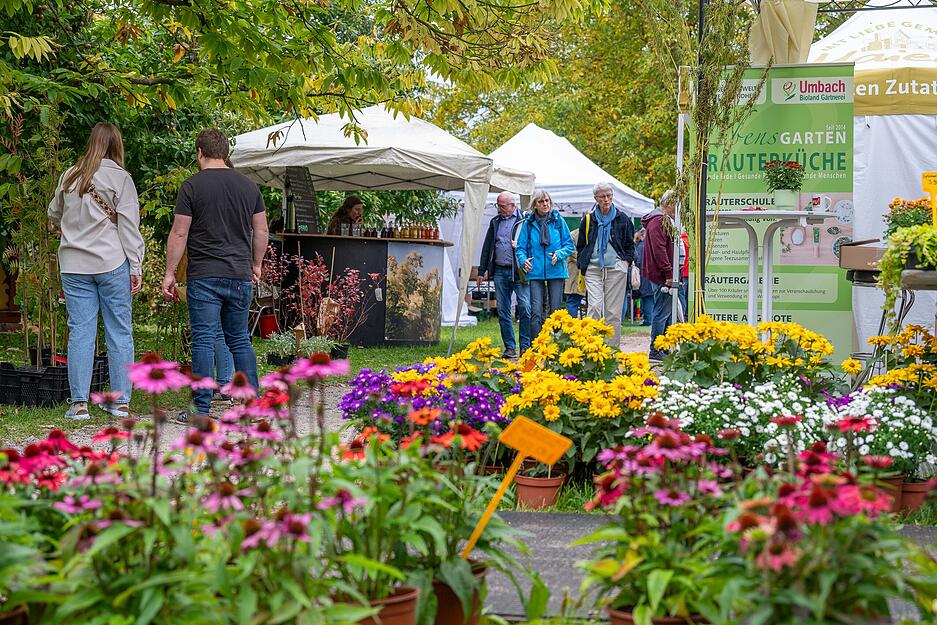 Neben landwirtschaftlichen Erzeugnissen gehören auch Garten- und Zierpflanzen zum Herbstmarkt-Angebot.