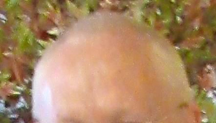 B. Schulz-Ellga&szlig;Foto: privat