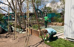 Azubis der Firma Becker aus Zuzenhausen legen einen Rollrasen an.