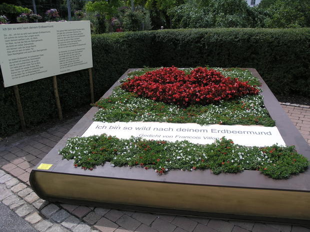 Blumensommer Nordheim