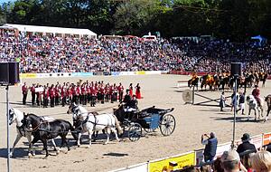 Bei der Eröffnung der Hengstparade werden die Ehrengäste von Vierspännern in die Arena gefahren, zuvor sind berittene Garden und Musikkapellen aufmarschiert. Bei der Eröffnung der Hengstparade werden die Ehrengäste von Vierspännern in die Arena gefahren, zuvor sind berittene Garden und Musikkapellen aufmarschiert.
