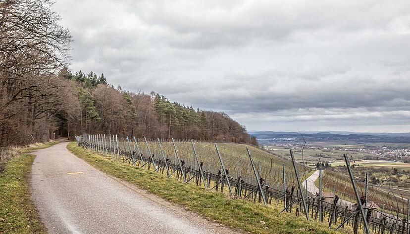 Auf dem Heuchelberg soll ein Windpark entstehen. Die Standorte der zehn Anlagen stehen noch nicht fest. 
Foto: Helmut Melchert