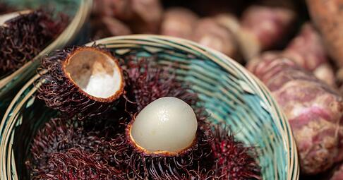 Rambutans bieten mehr Fruchtfleisch als Litschis: Das s&uuml;&szlig;-saftige Innere umgibt einen kleineren Kern.