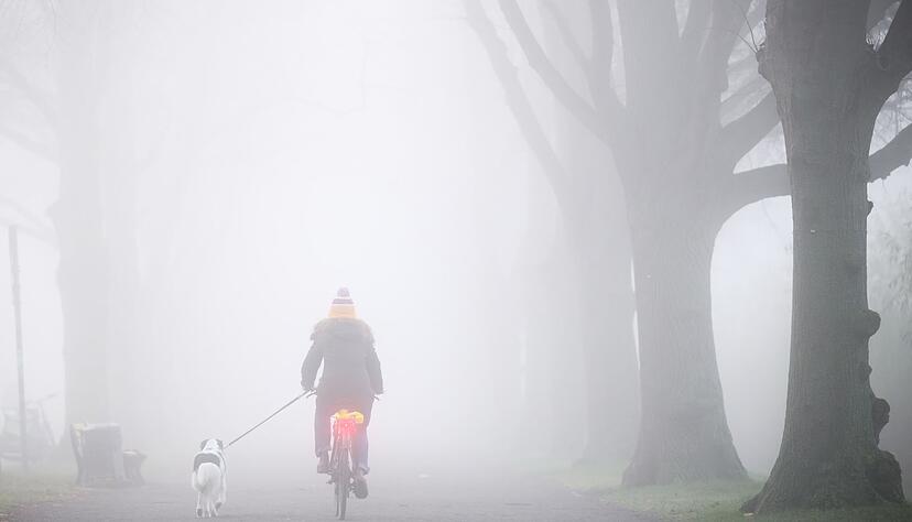 Der Montag startet oftmals bewölkt oder neblig trüb - aber vielerorts ist in den nächsten Tagen Besserung in Sicht.