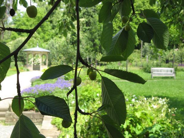 Botanischer Obstgarten Heilbronn Botanischer Obstgarten Heilbronn