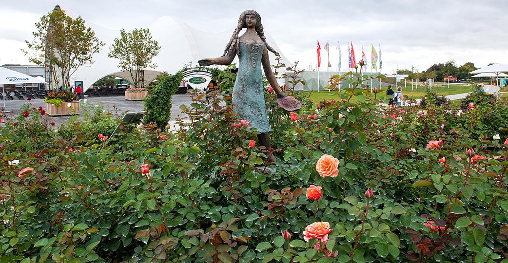 Je nach Wetter werden die Rosen vom Buga-Gelände Mitte November im Pfühlpark eingepflanzt. Foto: Archiv/Berger