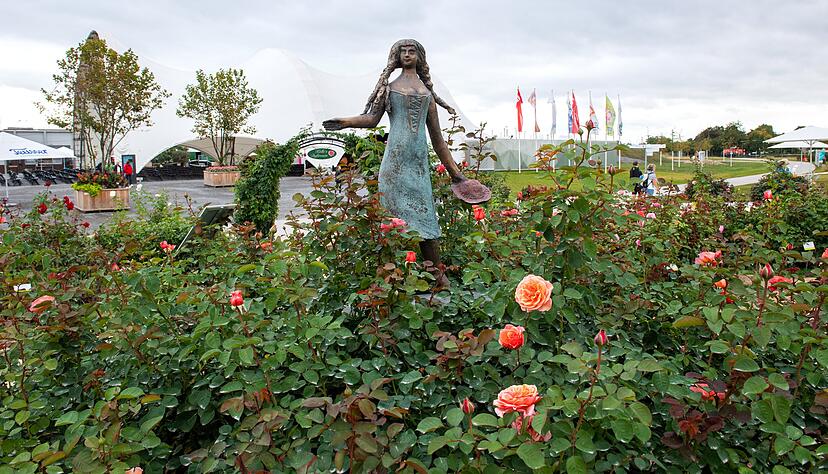 Je nach Wetter werden die Rosen vom Buga-Gelände Mitte November im Pfühlpark eingepflanzt. Foto: Archiv/Berger Je nach Wetter werden die Rosen vom Buga-Gelände Mitte November im Pfühlpark eingepflanzt. Foto: Archiv/Berger