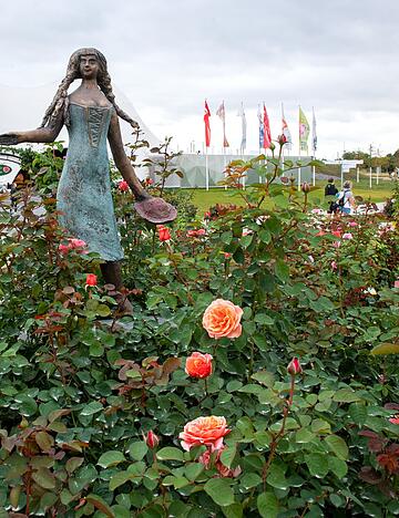 Je nach Wetter werden die Rosen vom Buga-Gelände Mitte November im Pfühlpark eingepflanzt. Foto: Archiv/Berger