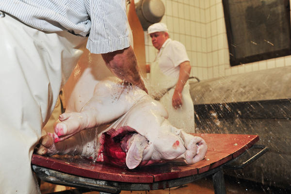 Hausschlachtung | 04.10. Hausschlachtung | 04.10.