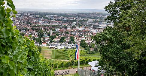 Blick vom Wartberg über Heilbronn: Der Titel Umwelthauptstadt könnte vielen Projekten Schwung geben.