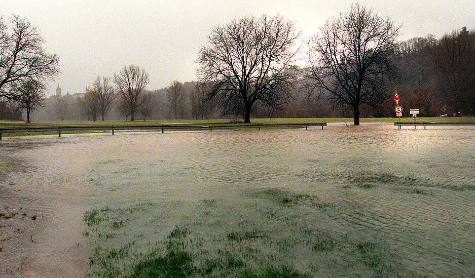 Hochwasser auf den Wiesen bei Offenau. Hochwasser auf den Wiesen bei Offenau.
