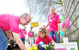 Adieu Tristesse: Direkt am Ortseingang von Horkheim blühen jetzt Stiefmütterchen. Die Clematis am Metallzaun muss sich erst noch emporranken.
Fotos: Ralf Seidel