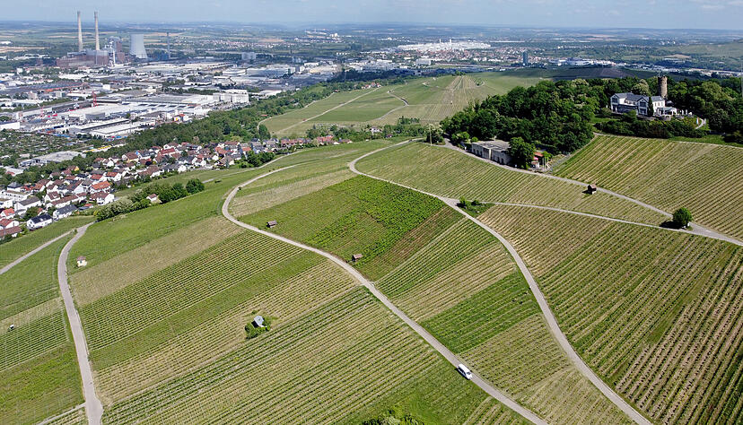 Durch Weinreben und Weinberge f&uuml;hrt der Weg den Wartberg hinauf bis zum H&ouml;henrestaurant.