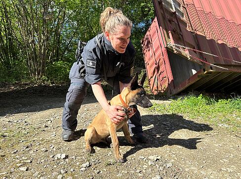 Malinois-Welpe Ignaz beim Training mit seiner Hundef&uuml;hrerin Carmen Zartmann-Seitz. Wenn sie das Kommando gibt, l&auml;uft Ignaz los.