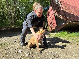 Malinois-Welpe Ignaz beim Training mit seiner Hundef&uuml;hrerin Carmen Zartmann-Seitz. Wenn sie das Kommando gibt, l&auml;uft Ignaz los.