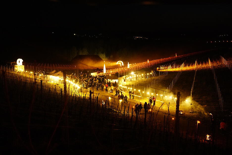 Die Weinberge leuchten noch einmal f&uuml;r die Besucher beim Rebengl&uuml;hen.