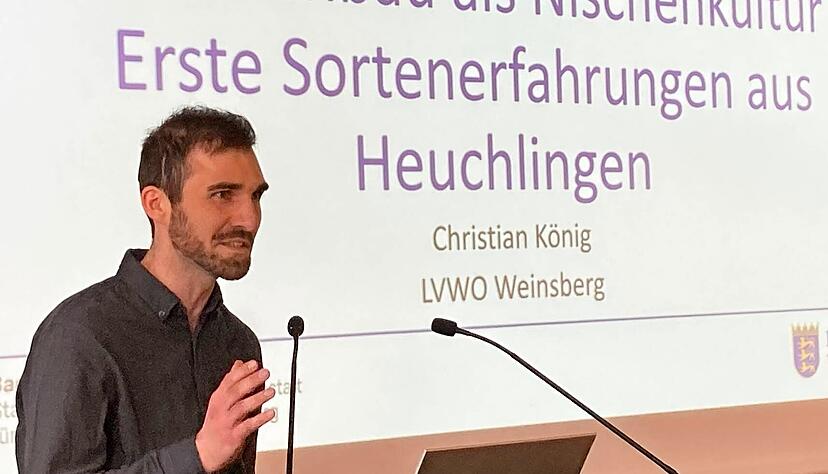 Christian K&ouml;nig von der LVWO kultiviert mit seinem Team Mandeln im Obstversuchsgut Heuchlingen. Die Sorte k&ouml;nnte f&uuml;r manch f&uuml;r den Weinbau unrentable Lage interessant sein.
Foto: J&ouml;rg K&uuml;hl