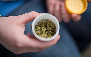 Erwachsene dürfen privat bis zu drei Cannabispflanzen gleichzeitig anbauen und insgesamt 50 Gramm getrocknetes Cannabis für den Eigenkonsum besitzen. Erwachsene dürfen privat bis zu drei Cannabispflanzen gleichzeitig anbauen und insgesamt 50 Gramm getrocknetes Cannabis für den Eigenkonsum besitzen.