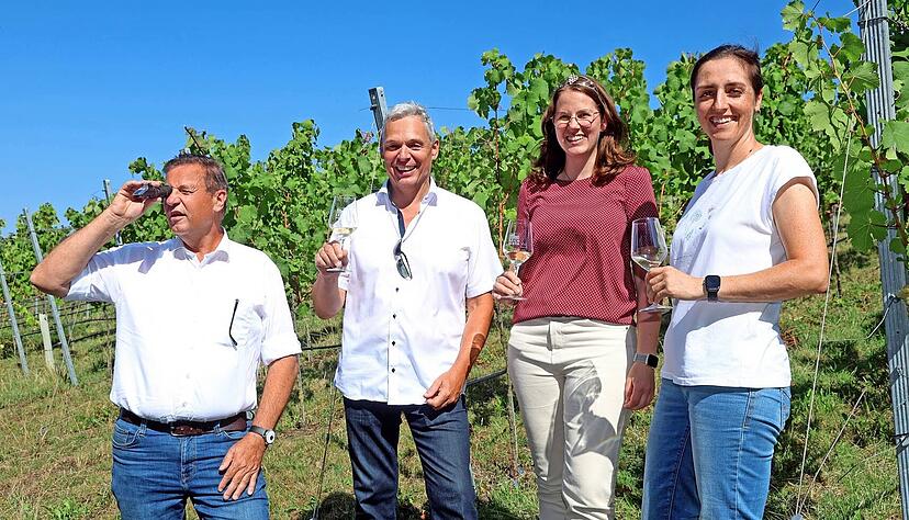 Mit dem &Ouml;chslemesser im Willsbacher Weinberg (von links): Landwirtschaftsminister Peter Hauk, Verbandsvize Peter Albrecht, die W&uuml;rttembergische Weink&ouml;nigin Larissa Salcher und Gastgeberin Nathalie Hirth.
Fotos: Ralf Seidel