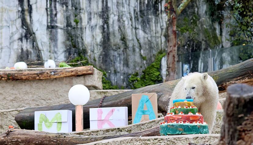 Zum Geburtstag gab es eine Torte und andere Leckereien.