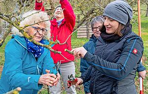 Marlene Schönbein (r.) zeigt, an welcher Stelle am besten gekappt wird. Foto: Mario Berger Marlene Schönbein (r.) zeigt, an welcher Stelle am besten gekappt wird. Foto: Mario Berger