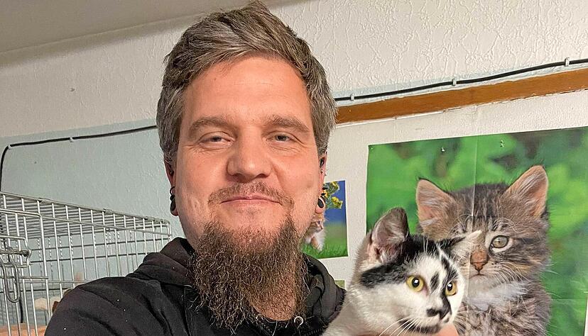 Sunny sucht genauso wie rund 20 weitere Katzen ein Zuhause. Der Vorsitzende der Katzenzuflucht Flinsbach, Nico König, hingegen sucht weitere Helfer, die sich um die Tiere kümmern. Sunny sucht genauso wie rund 20 weitere Katzen ein Zuhause. Der Vorsitzende der Katzenzuflucht Flinsbach, Nico König, hingegen sucht weitere Helfer, die sich um die Tiere kümmern.