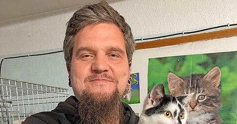 Sunny sucht genauso wie rund 20 weitere Katzen ein Zuhause. Der Vorsitzende der Katzenzuflucht Flinsbach, Nico König, hingegen sucht weitere Helfer, die sich um die Tiere kümmern.